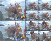 image hosted at ImgDrive.net