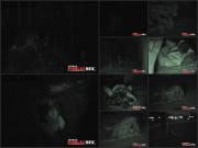 image hosted at ImgDrive.net