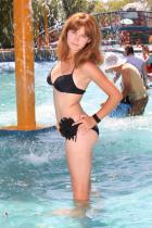 [Image: 6946d86f4b2d9.jpg]