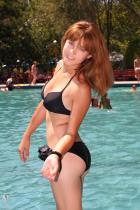 [Image: 6946d88118bea.jpg]