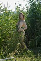 [Image: 69481ac480a83.jpg]