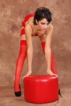 [Image: 69499f1583a75.jpg]