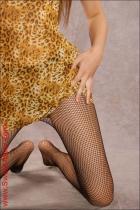 [Image: 695558ee6c5ca.JPG]