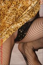 [Image: 6955590027611.JPG]