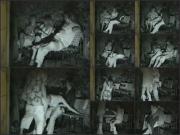 image hosted at ImgDrive.net