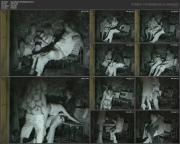 image hosted at ImgDrive.net