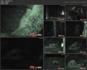 image hosted at ImgDrive.net