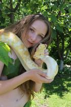 [Image: 696bf4e56afff.jpg]