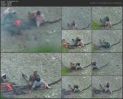 image hosted at ImgDrive.net