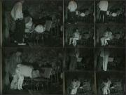 image hosted at ImgDrive.net