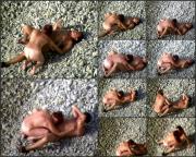 image hosted at ImgDrive.net