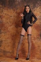 [Image: 698d46d69de56.jpg]