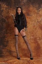 [Image: 698d46dd8a1ed.jpg]