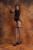 [Image: 698d46de33c75.jpg]