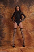 [Image: 698d46e9d73b6.jpg]