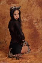 [Image: 698d47442ecb9.jpg]