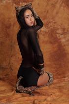 [Image: 698d47466178d.jpg]