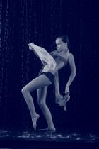 [Image: 698fcc2f0455a.jpg]