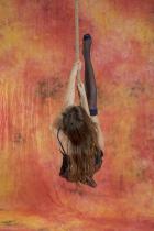 [Image: 698fe704a35a2.jpg]