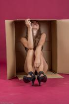 [Image: 6991230fc1cb2.jpg]