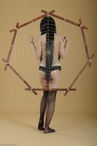 [Image: 6991fea38e1ae.jpg]