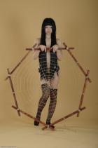 [Image: 6991fea8a0c98.jpg]