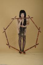 [Image: 6991fea9649c4.jpg]