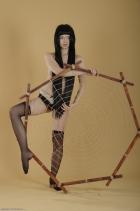 [Image: 6991feaa3056a.jpg]