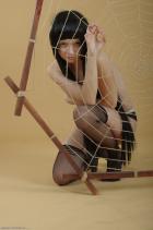 [Image: 6991feb1cc9c4.jpg]