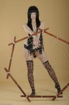 [Image: 6991feb41a3b1.jpg]