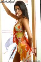 [Image: 6993464c8942c.JPG]