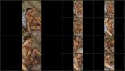 image hosted at ImgDrive.net