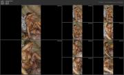 image hosted at ImgDrive.net