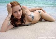 [Image: 69a43a96ddc33.jpg]