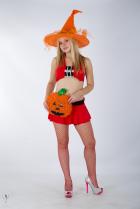 [Image: 69b715a54c0fc.jpg]