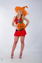 [Image: 69b715a8efd2e.jpg]