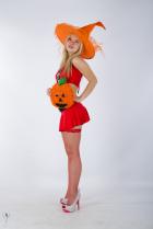 [Image: 69b715aa1c367.jpg]