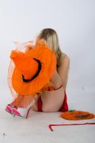 [Image: 69b71608f1e73.jpg]