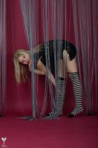 [Image: 69b719c8b041c.jpg]