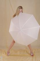 [Image: 69b71f30107a7.JPG]