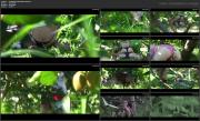 image hosted at ImgDrive.net